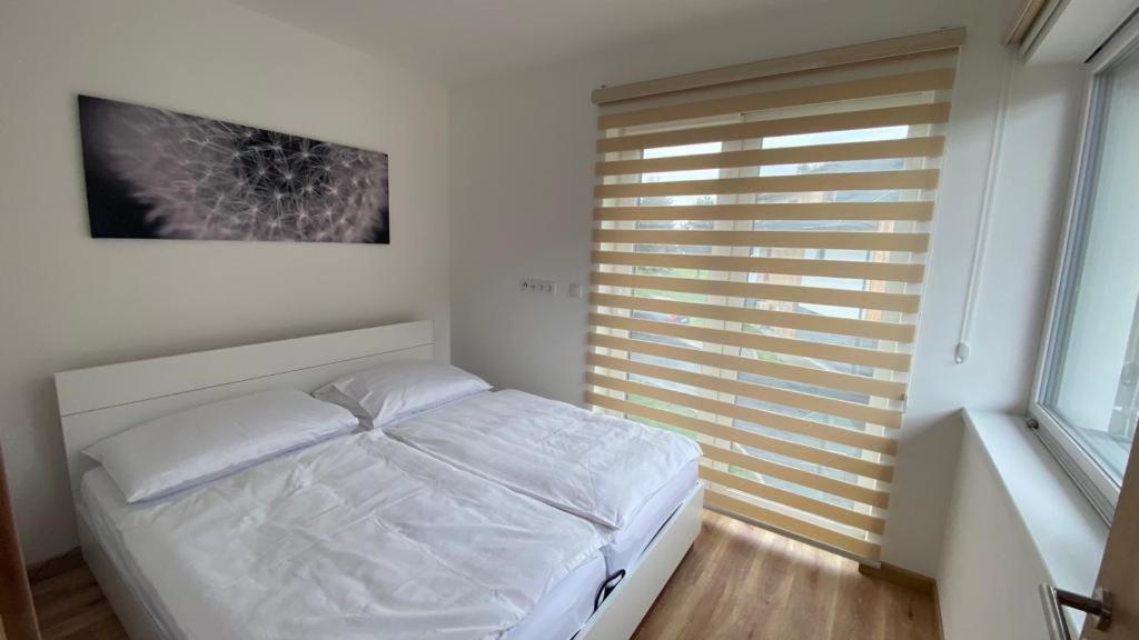 Černá v Pošumaví Apartmany - Male Lipno מראה חיצוני תמונה