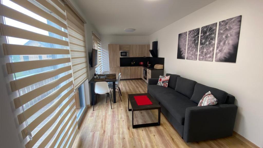Černá v Pošumaví Apartmany - Male Lipno מראה חיצוני תמונה